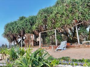 a white chair sitting in front of a tree at Coco and Corks Villa in Negombo