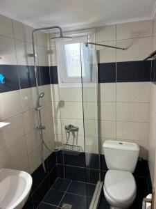 a bathroom with a shower and a toilet and a sink at Akrogiali studios in Vasilika +40 photos