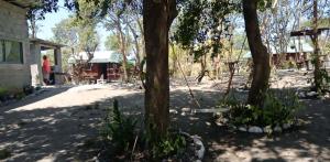 a group of trees in front of a house at Cristy & Ashley's Sunny Place in Rimus +17 photos