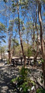 a picnic table in a park with trees at Cristy & Ashley's Sunny Place in Rimus