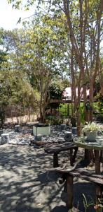 a picnic table with potted plants on it in a park at Cristy & Ashley's Sunny Place in Rimus