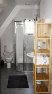 a bathroom with a shower and a toilet and a sink at Witte Weelde Texel in De Koog