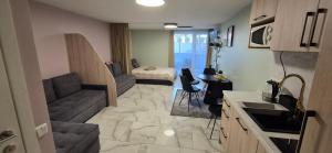 a small apartment with a kitchen and a living room at Apartamentai Gintaras in Palanga