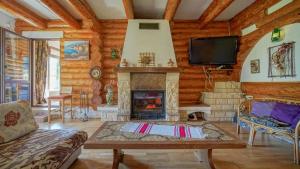 a living room with a fireplace in a log cabin at Dolce Cabana in Timisul de Jos