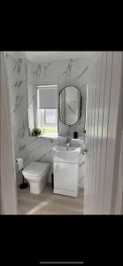 a bathroom with a sink and a toilet and a mirror at Dove Cottage in Greenock
