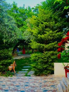 a garden with a statue of a dog on a path at Villa Aggeliki in Prinos +91 photos