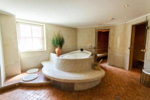 a large bathroom with a large tub with a potted plant at Aktiv Hotel Zur Rose am Brenner in Steinach am Brenner +105 photos