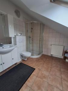 a bathroom with a shower and a toilet and a sink at Wandlitz-Pension Dampflok in Wandlitz