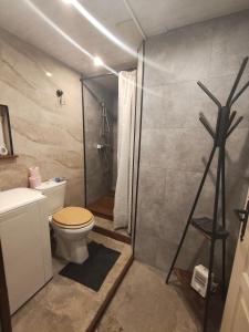 a bathroom with a toilet and a shower at Le Domaine Des Petits Chat in Orchamps