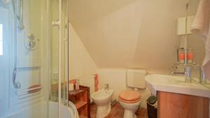 a bathroom with a toilet and a sink and a shower at Dolce Cabana in Timisul de Jos +24 photos
