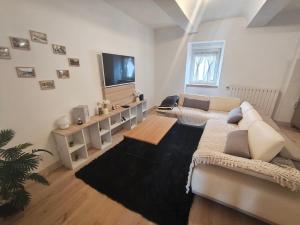 a living room with a couch and a tv at Le Domaine Des Petits Chat in Orchamps