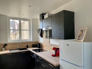 a kitchen with black cabinets and a white refrigerator at Bohemian Rhapsody- Hyper centre Compiègne in Compiègne +8 photos