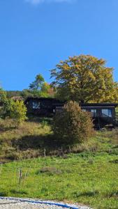 a house sitting on top of a grassy hill at Nomad Hill Cabins in Rugineşti