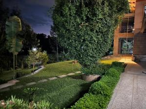 a garden with a large tree in front of a building at Kgcottage in Nairobi