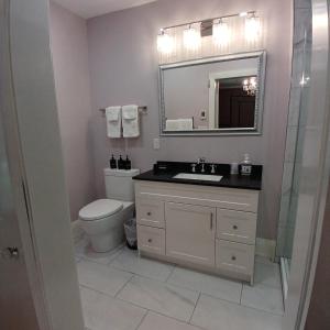 a bathroom with a toilet and a sink and a mirror at Cranberry Moon Inn in Bala
