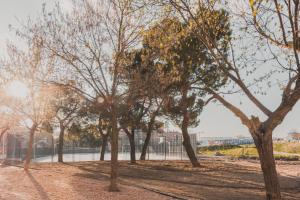 a group of trees in a park at Alojamiento en Santa Eugenia A in Madrid