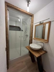 a bathroom with a sink and a glass shower at Altes Zehnthaus Geierlay in Mittelstrimmig +20 photos
