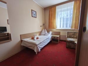 a hotel room with a bed and a window at Dolina Wilema in Bolesławów