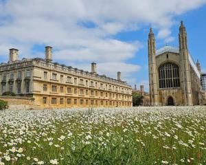 a large building with a field of flowers in front of it at Barge in central Cambridge in Cambridge