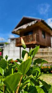 a small house with a balcony in the background at Brigitte´s Rental House in Dauin +5 photos