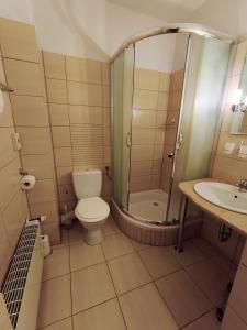 a bathroom with a shower and a toilet and a sink at Dolina Wilema in Bolesławów