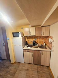 a small kitchen with a white refrigerator and a sink at Studio Iris in Baile Felix
