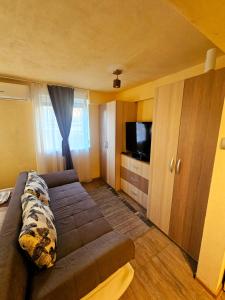 a living room with a couch and a flat screen tv at Studio Iris in Baile Felix