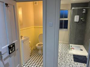 a bathroom with a toilet and a sink and a shower at Stillington Retreat in Stillington