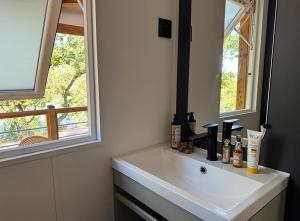 a bathroom sink with a mirror and a window at Camping Le Soleil du Verdon in Esparron-de-Verdon +64 photos