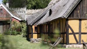 an old house with a thatched roof and a yard at Alunbruket B & B in Brösarp
