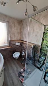 a shower with a glass door in a bathroom at Ferienwohnung Heike "Zum Spatzennest" in Mühlhausen +5 photos