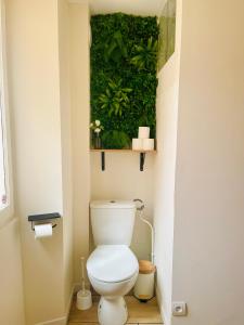ein Badezimmer mit Toilette und einer Pflanze an der Wand in der Unterkunft Studio El Canigou in Prades
