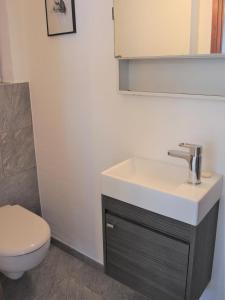a bathroom with a sink and a toilet at Casa Hella by fewotessin in Lavertezzo +18 photos