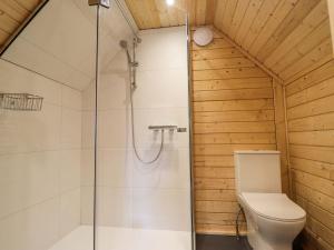 a bathroom with a shower and a toilet at Little Luxe Lodges 1 in Kyle of Lochalsh