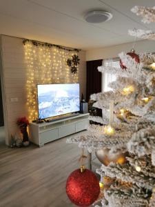 Et tv og/eller underholdning på Willa Arctic