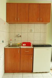uma cozinha com armários de madeira, um lavatório e uma máquina de lavar louça em Apartman Centar BB em Pančevo