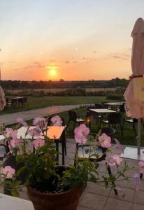 a sunset over a patio with tables and flowers at Albergue La Perala in Bercianos del Real Camino
