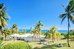 a building on the beach with palm trees at La Casa Manao - Charmant Studio SF in Saint-François