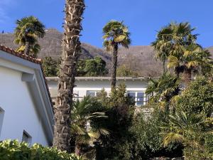 a building with palm trees and mountains in the background at Casa Rondinella by fewotessin in Orselina