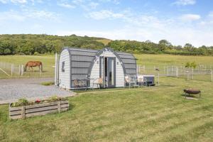 a small shed in a field with a horse in the background at 1 Bed in Cross oc-s29656 in Axbridge