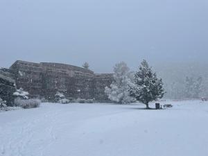 a snow covered field with a tree in front of a building at La Marmotte ensoleillée in Montclar