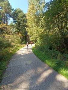 two people riding bikes down a road with trees at Meublé de vacances, Quend-Plage in Quend-Plage