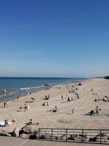 a large group of people on a beach at Meublé de vacances, Quend-Plage in Quend-Plage