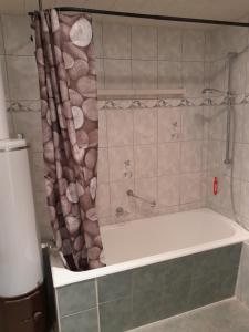 a bath tub in a bathroom with a shower curtain at Appartment Annika in Hochheim