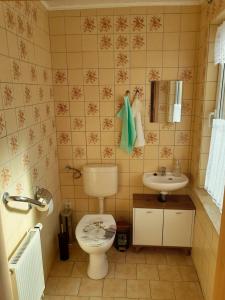 a bathroom with a toilet and a sink at Appartment Annika in Hochheim +13 photos