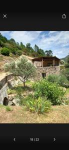 a house on a hill with a tree in front of it at les chambres d'hotes du chalet in Venaco