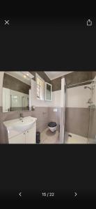 a bathroom with a sink and a shower and a toilet at les chambres d'hotes du chalet in Venaco +10 photos