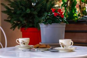 two tea cups and cookies on a table with a potted plant at Dimora del Passaggio in Castiglion Fiorentino
