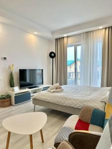 a bedroom with a large bed and a tv at Anturium Studio #Otopeni #freePool in Tunari