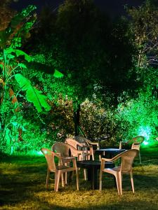 a group of chairs sitting around a table in the grass at Chandras palace hotel kothar in Kothār